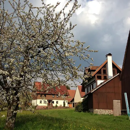 Annabell Weisbach (Baden-Wurttemberg)